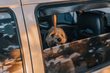 Chien stressé en voiture pendant un trajet