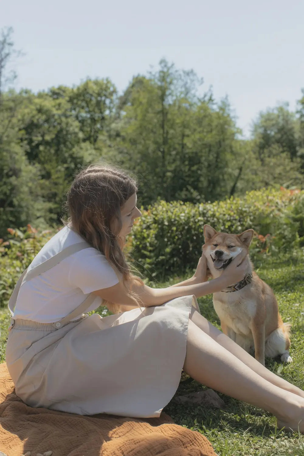 Stress du chien en été : les causes à connaître Image
