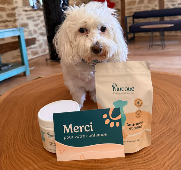 petit chien blanc avec sachet et pot blucove