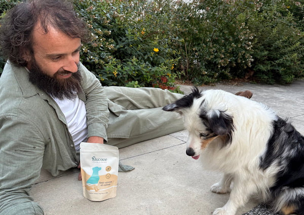 Homme donnant un complément anti-stress Blucove à son chien dans le jardin