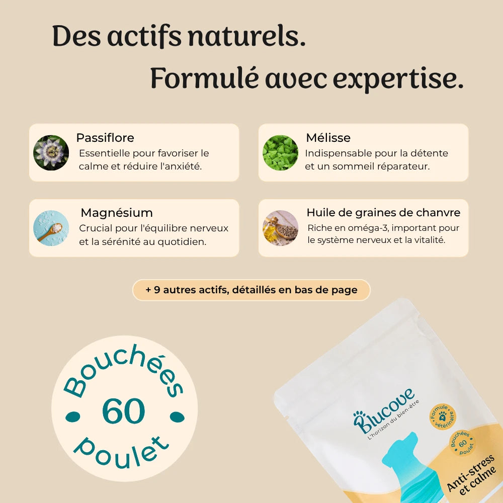 Infographie Blucove : actifs naturels du sachet — passiflore, mélisse, magnésium, huile de graines de chanvre