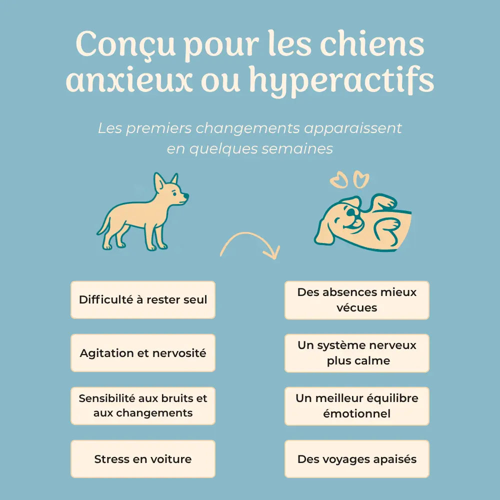 Complément anti-stress chien · 120 bouchées