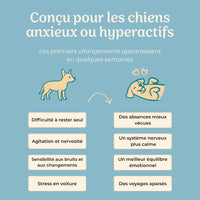 Complément anti-stress chien · 120 bouchées