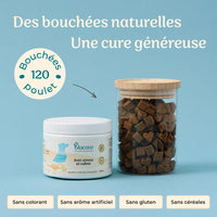 Complément anti-stress chien · 120 bouchées