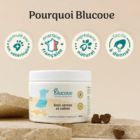 Complément anti-stress chien · 120 bouchées