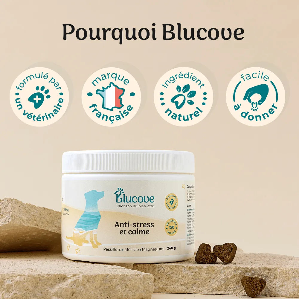 Complément anti-stress chien · 120 bouchées