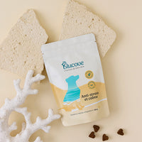 Sachet de complément anti-stress Blucove pour chien à plat, avec soft chews et corail blanc