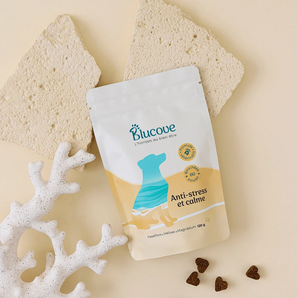 Sachet de complément anti-stress Blucove pour chien à plat, avec soft chews et corail blanc