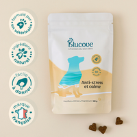 Packshot du sachet Blucove Anti-stress et calme avec ses garanties et des soft chews