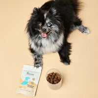 Petit chien spitz noir à côté d'un sachet Blucove anti-stress et d'un bol de soft chews